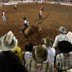 Festa do Peão de Barretos reúne shows e rodeios até 31 de agosto