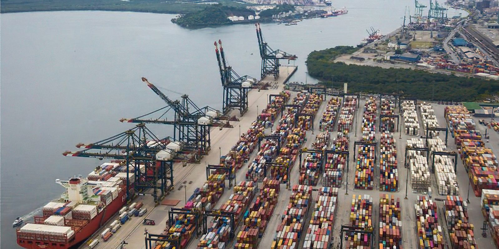 Governo cria medidas para apoiar produtores afetados por tarifaço