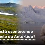 Pele de peixe gigante da Amazônia vira bolsa de luxo, mas ganho não chega a pescadores
