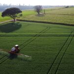 Receita com exportação do agronegócio do Brasil cresce 1,5% em agosto, diz ministério