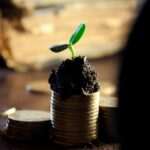 do anúncio ao dinheiro na conta