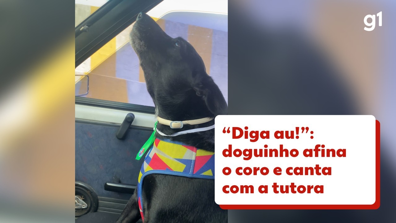 'Diga au': vídeo de cachorro cantando música infantil com tutora viraliza; assista