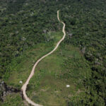 Frente de infraestrutura quer limar vetos em licenciamento - 15/10/2025 - Painel