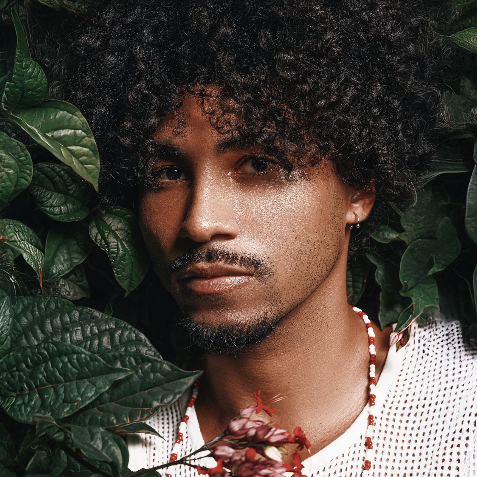 Discoteca virtual 11 – Os álbuns de Ivyo, Naiara Martins, Jean William e Ordinarius