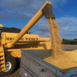 IGP-M tem primeira queda na janela de 12 meses desde maio de 2024