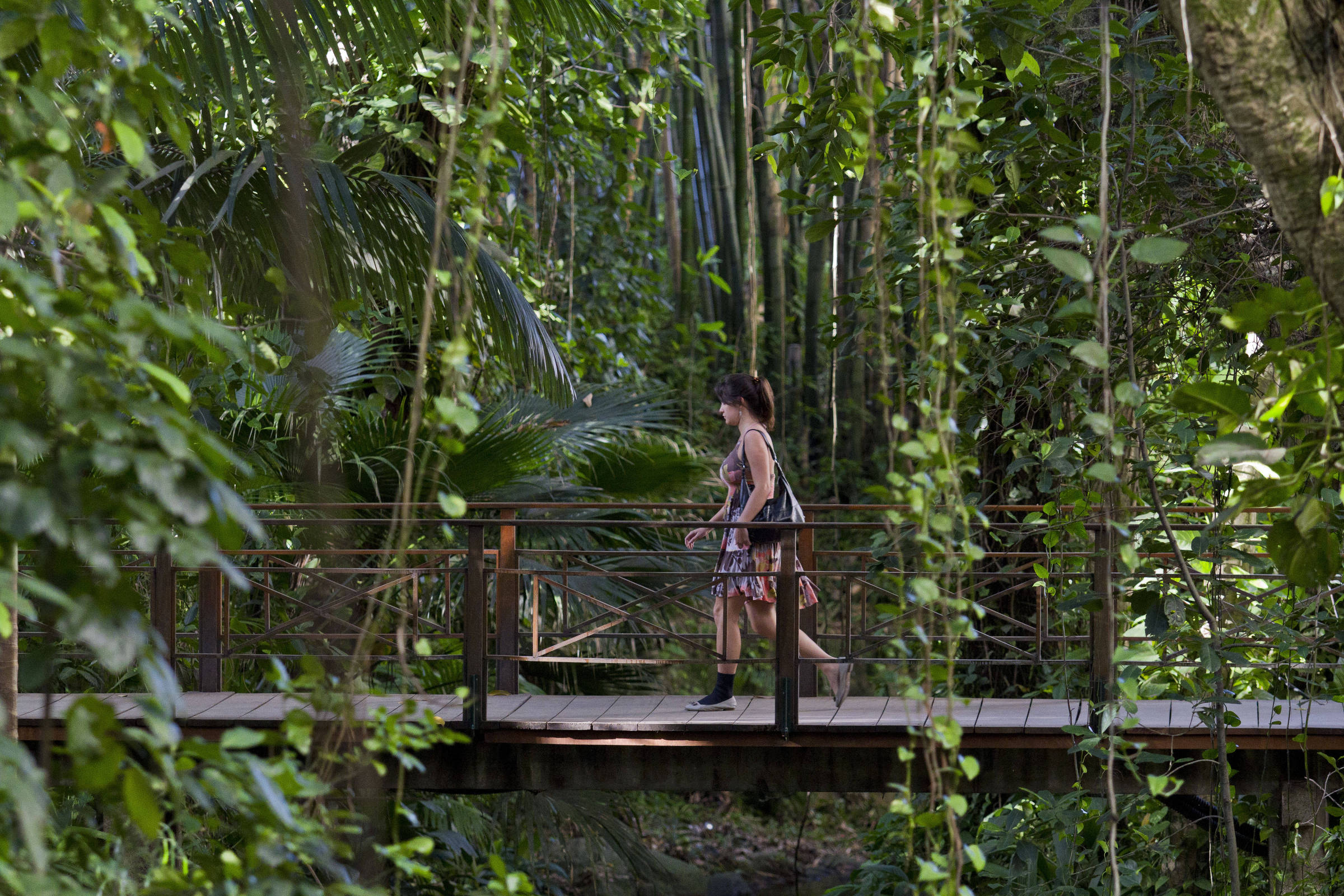 Minha primeira reportagem, há 40 anos, foi lida pelo presidente