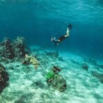 Quanto custa para começar a praticar mergulho?