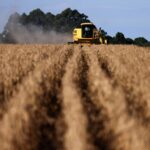 Agro, petróleo e gás sustentam alta de 0,1% do PIB no 3º tri, mas economia desacelera