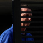 Como explicar crença nos Bolsonaro, vistos como burros?