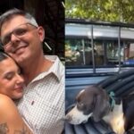 VÍDEO: cachorrinha cruza caminho do pai de Ana Castela e ganha um novo lar