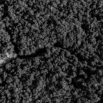 Indigenistas decifram sinais na floresta para proteger grupos isolados da amazônia