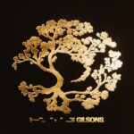 Gilsons apresentam a capa do segundo álbum uma semana antes do lançamento