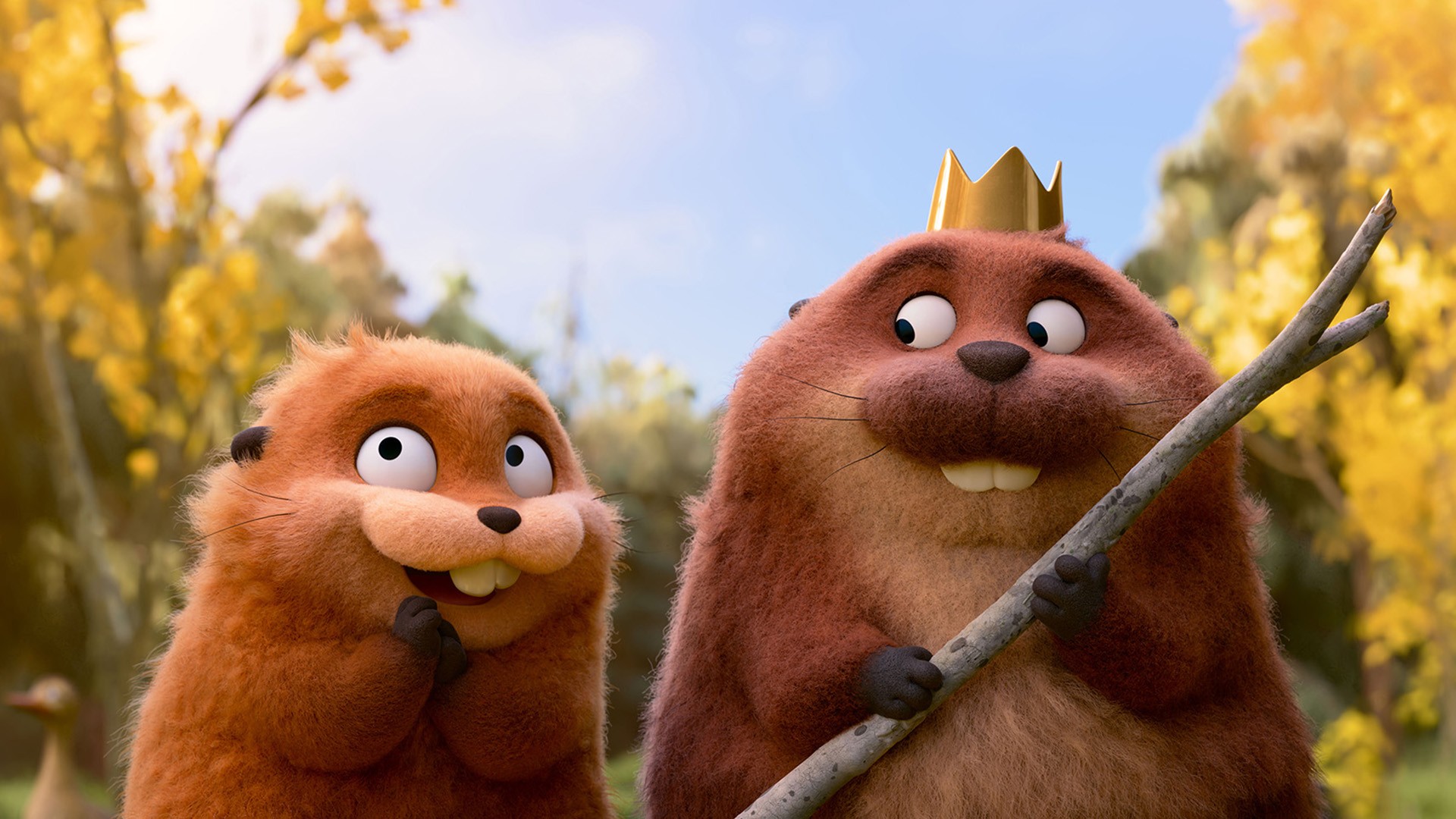 ‘Cara de um, Focinho de Outro’ traz animação com divertida 'Cara de um, Focinho de Outro' traz animação com divertida mensagem ecológica; g1 já viu