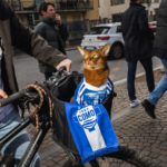 Como alcança sucesso no futebol italiano com donos bilionários