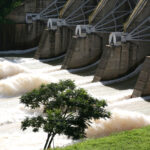 resultado agrada e ação escapa do dia de queda quase generalizada do Ibovespa