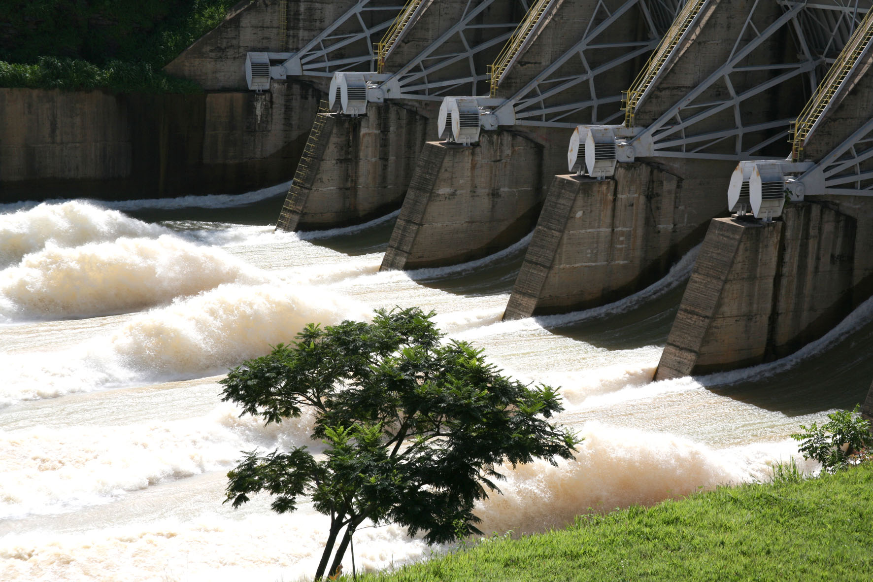 resultado agrada e ação escapa do dia de queda quase resultado agrada e ação escapa do dia de queda quase generalizada do Ibovespa