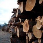 setor ainda é oportunidade na Bolsa brasileira?