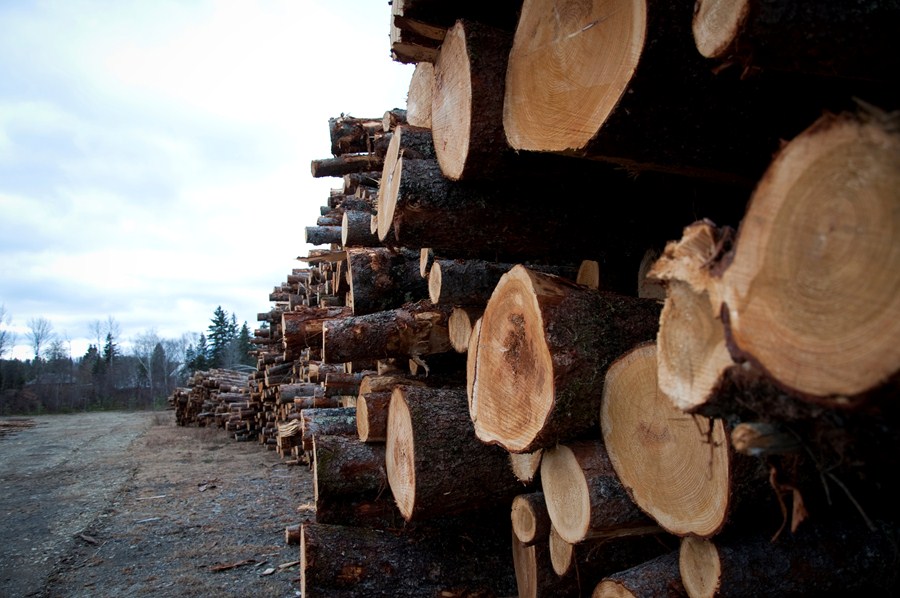 setor ainda é oportunidade na Bolsa brasileira?