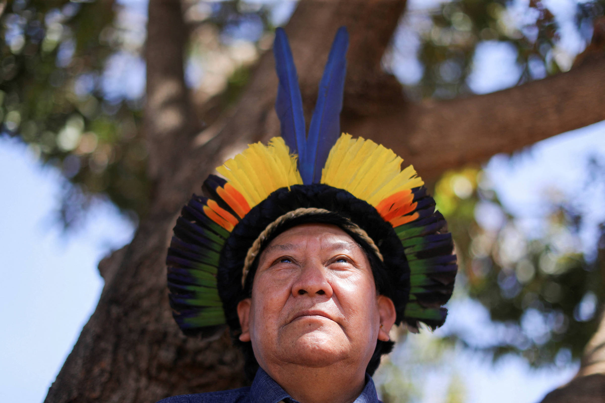 Por que 'A Queda do Céu' está entre os melhores livros de literatura e de não ficção?