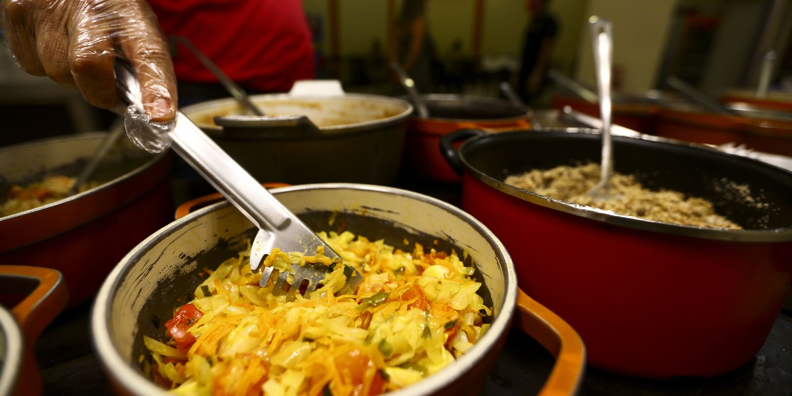 Festivais celebram ações para reduzir insegurança alimentar no Ceará