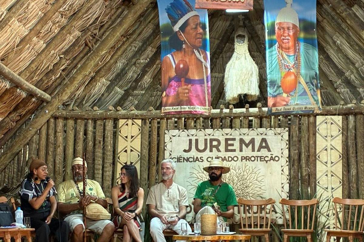 Indígenas e cientistas psicodélicos avançam com conversa difícil sobre Jurema Indígenas e cientistas psicodélicos avançam com conversa difícil sobre Jurema