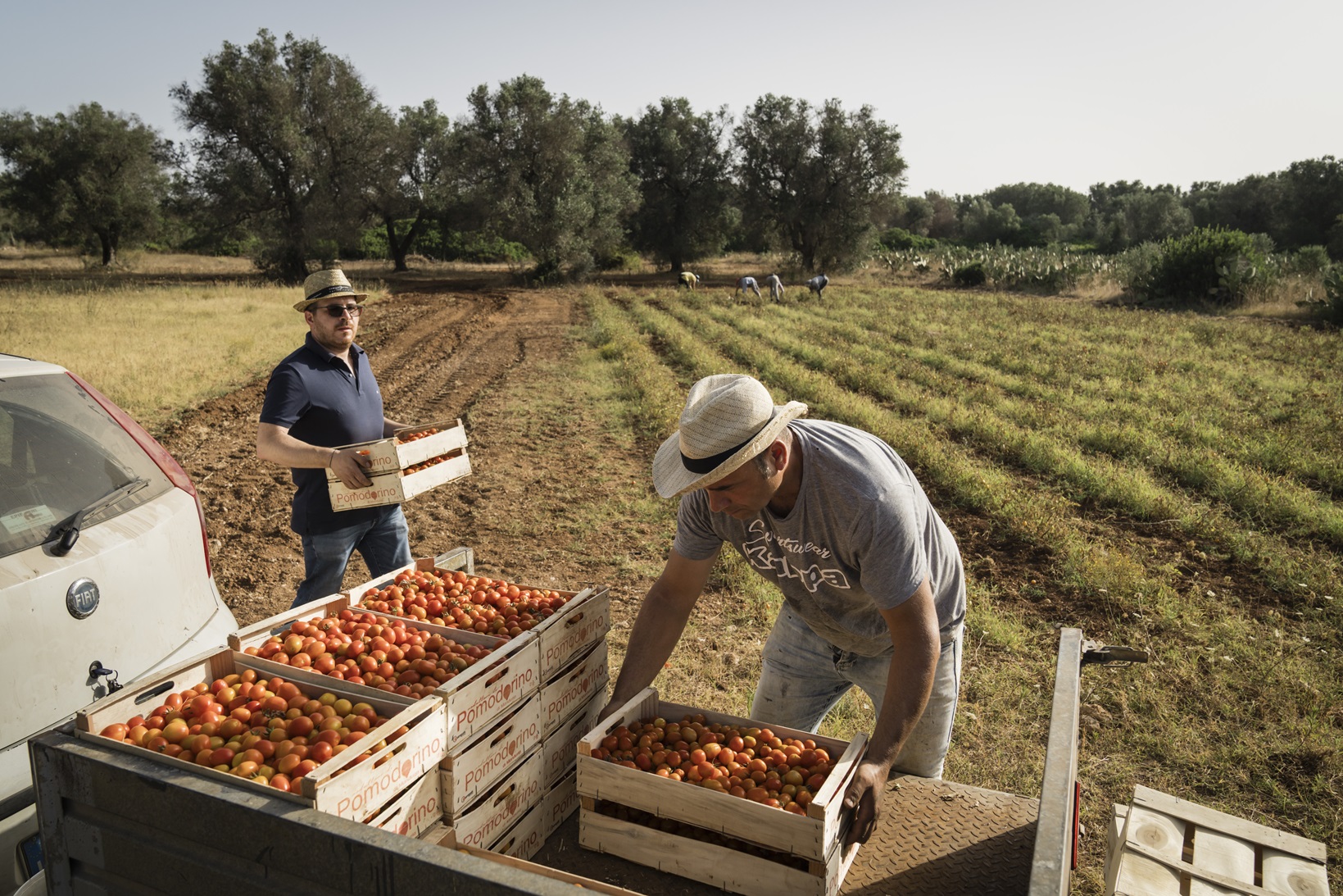 Risco climático já muda o crédito ao agro e exige nova estratégia do Brasil