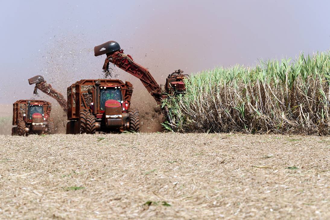Tarifaço deve atingir 36,5% das exportações do agro brasileiro aos Tarifaço deve atingir 36,5% das exportações do agro brasileiro aos EUA, afirma CNA