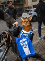 Como alcança sucesso no futebol italiano com donos bilionários