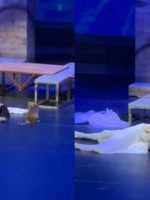 Gato invade palco e rouba a cena durante apresentação de Gato invade palco e rouba a cena durante apresentação de Romeu e Julieta na Turquia