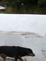 Iphan debate a realidade das mulheres na gestão do patrimônio cultural