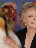 June Lockhart, atriz de ‘Lassie’ e ‘Perdidos no espaço’, morre June Lockhart, atriz de 'Lassie' e 'Perdidos no espaço', morre aos 100 anos