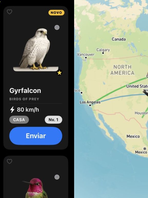Pombo-correio digital? Aplicativo envia mensagens que podem chegar em 1 Pombo-correio digital? Aplicativo envia mensagens que podem chegar em 1 ano