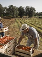 Risco climático já muda o crédito ao agro e exige nova estratégia do Brasil