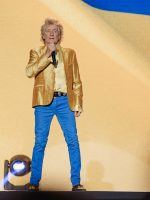 Rod Stewart é criticado por ir à Copa do Mundo Rod Stewart é criticado por ir à Copa do Mundo um dia após cancelar show por problemas de saúde