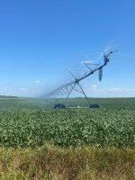 Rússia interrompe exportação de nitrato de amônio em meio à escassez de oferta global