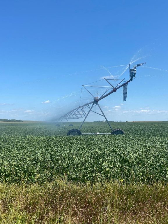 Rússia interrompe exportação de nitrato de amônio em meio à escassez de oferta global