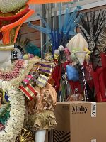 Sustenta Carnaval transforma fantasias da Sapucaí em novas chances 