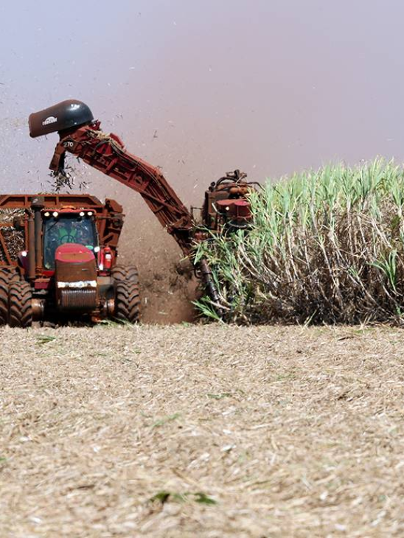 Tarifaço deve atingir 36,5% das exportações do agro brasileiro aos Tarifaço deve atingir 36,5% das exportações do agro brasileiro aos EUA, afirma CNA