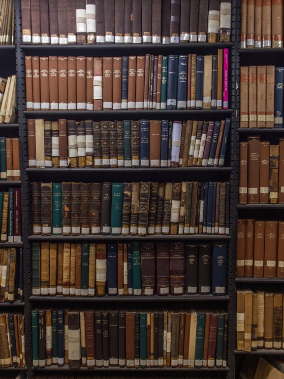 Trocar tradutores por IA é retrocesso gigantesco para literatura Trocar tradutores por IA é retrocesso gigantesco para literatura