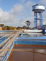 ação cai 6% após proposta de agência reguladora sobre destino de R$ 3,94 bi