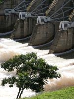 resultado agrada e ação escapa do dia de queda quase resultado agrada e ação escapa do dia de queda quase generalizada do Ibovespa